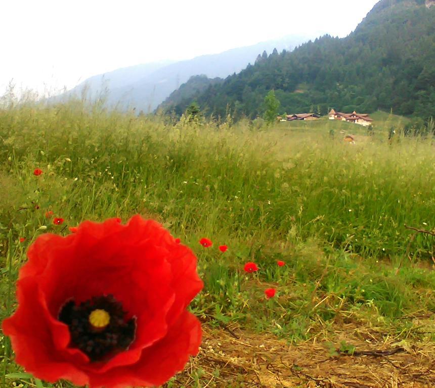 Agritur Cornasest Bed and Breakfast Breguzzo Buitenkant foto